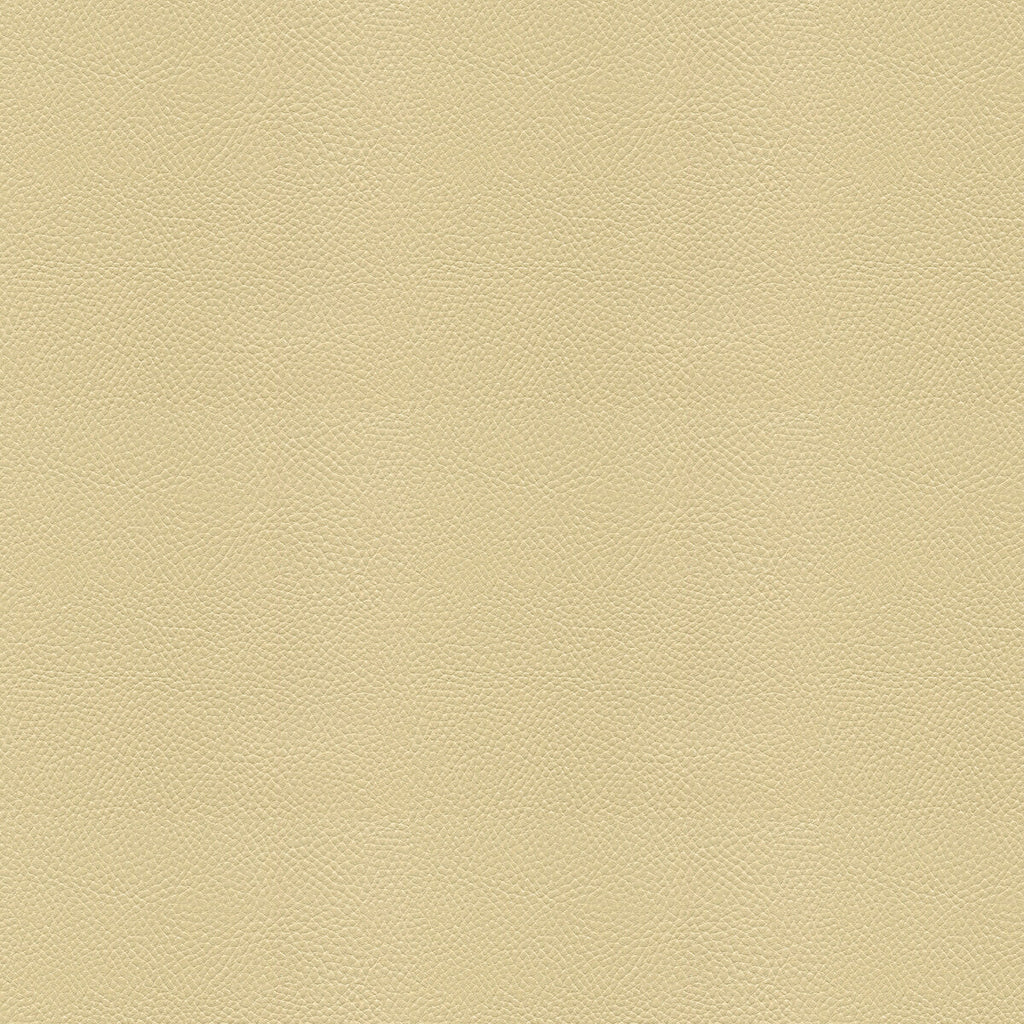 Samples and Purchasing available for Side Kick - Fog Beige By Kravet Couture |  |Solid Texture Upholstery Vinyl/Faux Leather at Designer Wallcoverings and Fabrics