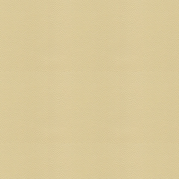 Samples and Purchasing available for Side Kick - Fog Beige By Kravet Couture |  |Solid Texture Upholstery Vinyl/Faux Leather at Designer Wallcoverings and Fabrics