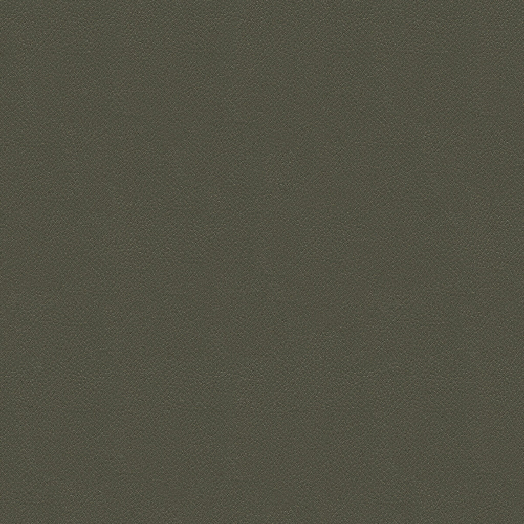 Samples and Purchasing available for Side Kick - Pewter Grey By Kravet Couture |  |Solid Texture Upholstery Vinyl/Faux Leather at Designer Wallcoverings and Fabrics