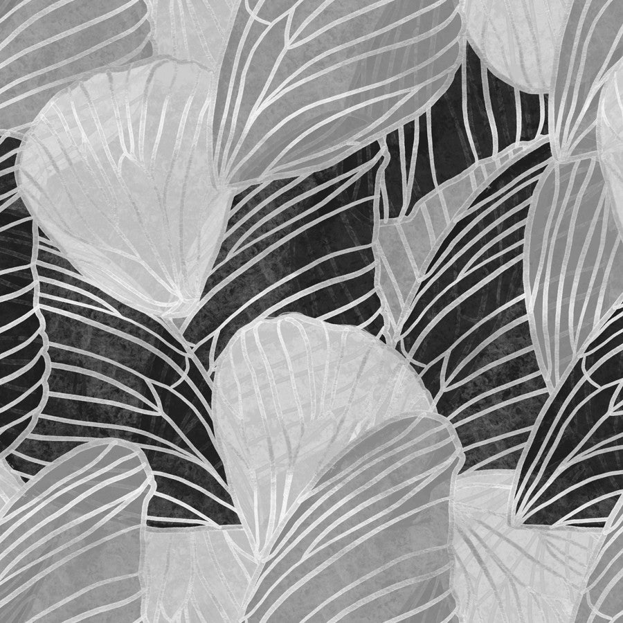 La Sieno Ash Wallpaper | Phillipe Romano