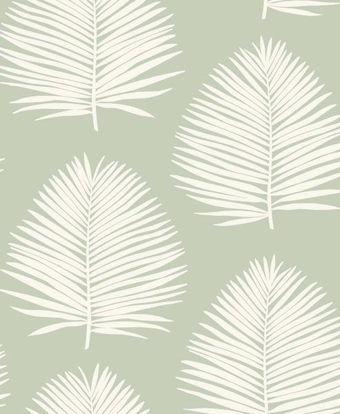 Malibu Island Palm Wallpaper - Coastal Palm Leaf - Celadon | Malibu Wallpaper