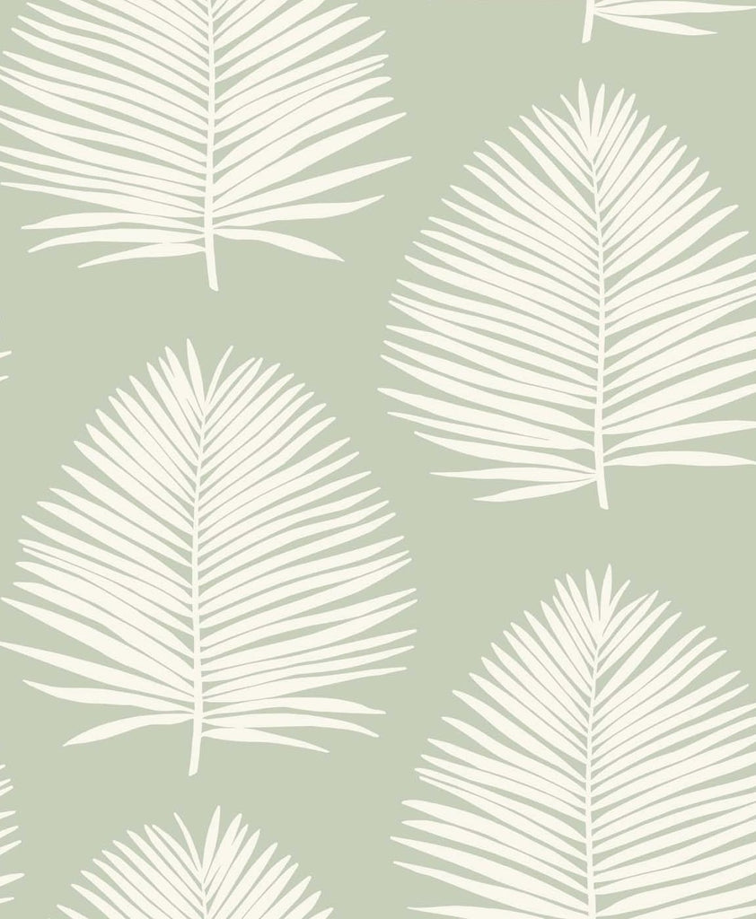 Malibu Island Palm Wallpaper - Coastal Palm Leaf - Celadon | Malibu Wallpaper