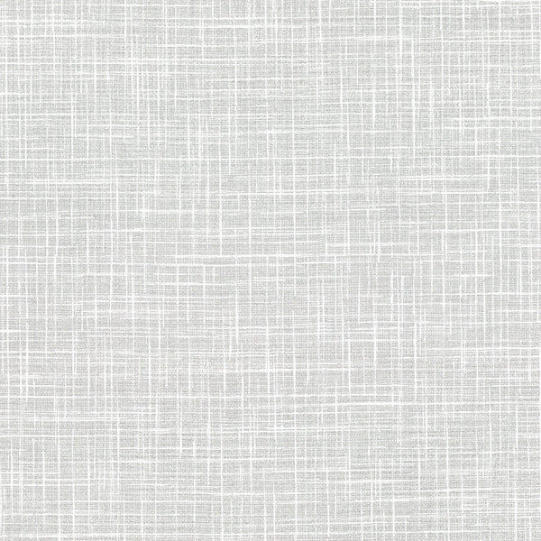 La Salerno Gull Wallpaper | Phillipe Romano