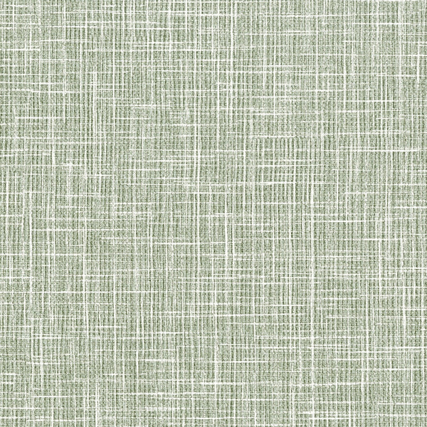 La Salerno Palms Wallpaper | Phillipe Romano