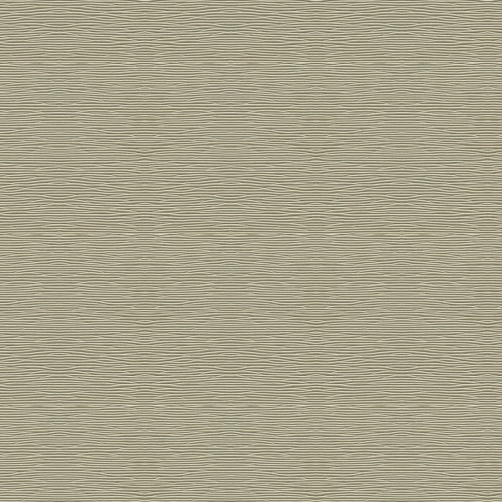 Samples and Purchasing available for Smooth Move - Sterling Silver By Kravet Couture |  |Metallic Texture Upholstery Vinyl/Faux Leather at Designer Wallcoverings and Fabrics