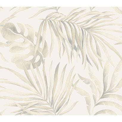 Paradise Palm Wallpaper | Jeffrey Stevens