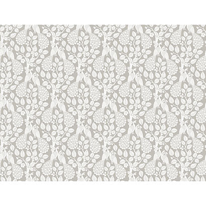 Plumage Wallpaper | Jeffrey Stevens