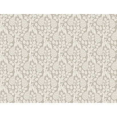 Plumage Wallpaper | Jeffrey Stevens