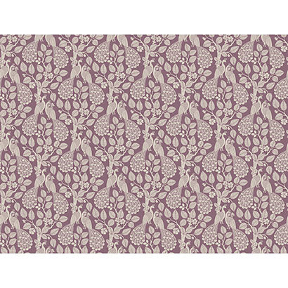 Plumage Wallpaper | Jeffrey Stevens