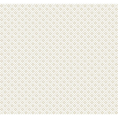 Polaris Wallpaper | Jeffrey Stevens