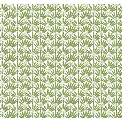 Frond Fan Wallpaper | Jeffrey Stevens