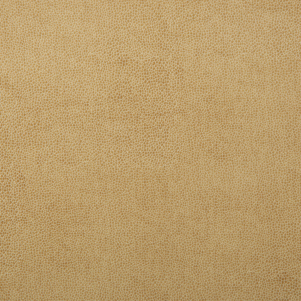 Samples and Purchasing available for Kravet Design - Sparta-1 Beige By Kravet Design | Faux Leather Iv |Solid Texture Upholstery Vinyl/Faux Leather at Designer Wallcoverings and Fabrics