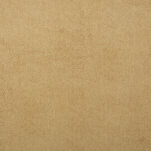 Samples and Purchasing available for Kravet Design - Sparta-1 Beige By Kravet Design | Faux Leather Iv |Solid Texture Upholstery Vinyl/Faux Leather at Designer Wallcoverings and Fabrics
