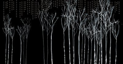 Poe Black - Black Commercial Wallcovering | Koroseal