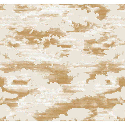 Cloud Cover Wallpaper | Jeffrey Stevens