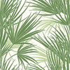 Palmetto Wallpaper | Jeffrey Stevens