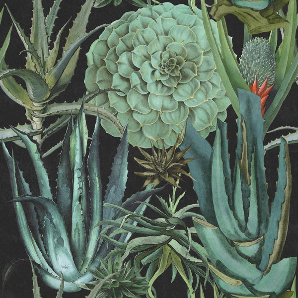 Succulentus - Anthracite Wallcovering | Mind the Gap