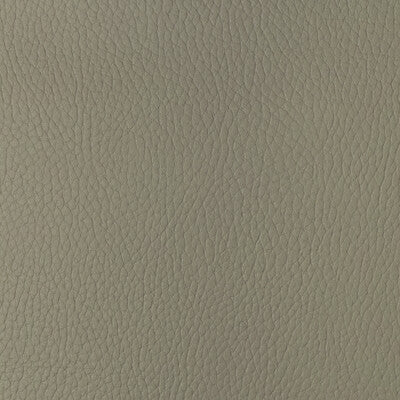 Samples and Purchasing available for Kravet Design - Sugarmaple-116 Beige By Kravet Design |  |Solid Texture Upholstery Vinyl/Faux Leather at Designer Wallcoverings and Fabrics