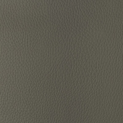 Samples and Purchasing available for Kravet Design - Sugarmaple-11 Grey By Kravet Design |  |Solid Texture Upholstery Vinyl/Faux Leather at Designer Wallcoverings and Fabrics