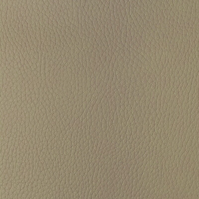 Samples and Purchasing available for Kravet Design - Sugarmaple-16 Beige By Kravet Design |  |Solid Texture Upholstery Vinyl/Faux Leather at Designer Wallcoverings and Fabrics