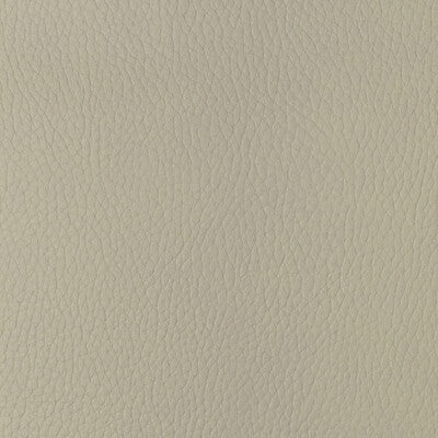 Samples and Purchasing available for Kravet Design - Sugarmaple-1 White By Kravet Design |  |Solid Texture Upholstery Vinyl/Faux Leather at Designer Wallcoverings and Fabrics