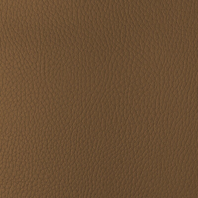 Samples and Purchasing available for Kravet Design - Sugarmaple-4 Rust By Kravet Design |  |Solid Texture Upholstery Vinyl/Faux Leather at Designer Wallcoverings and Fabrics