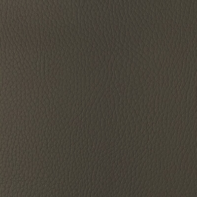Samples and Purchasing available for Kravet Design - Sugarmaple-616 Brown By Kravet Design |  |Solid Texture Upholstery Vinyl/Faux Leather at Designer Wallcoverings and Fabrics