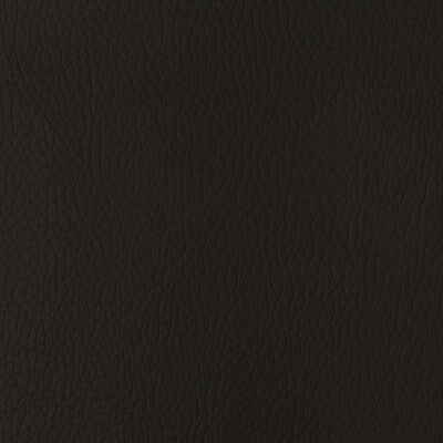 Samples and Purchasing available for Kravet Design - Sugarmaple-66 Brown By Kravet Design |  |Solid Texture Upholstery Vinyl/Faux Leather at Designer Wallcoverings and Fabrics