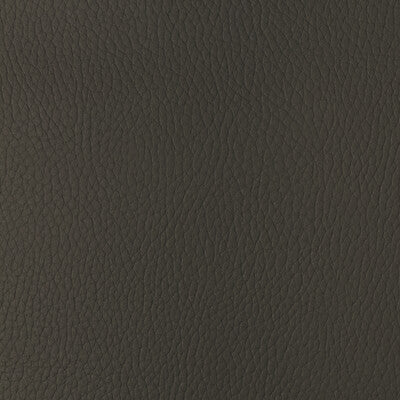 Samples and Purchasing available for Kravet Design - Sugarmaple-6 Brown By Kravet Design |  |Solid Texture Upholstery Vinyl/Faux Leather at Designer Wallcoverings and Fabrics