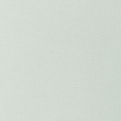 Samples and Purchasing available for Kravet Design - Sweetgum-11 Grey By Kravet Design |  |Animal Skins Solid Upholstery Vinyl/Faux Leather at Designer Wallcoverings and Fabrics