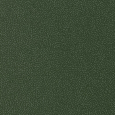Samples and Purchasing available for Kravet Design - Sweetgum-30 Green By Kravet Design |  |Animal Skins Solid Upholstery Vinyl/Faux Leather at Designer Wallcoverings and Fabrics