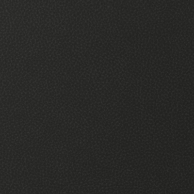 Samples and Purchasing available for Kravet Design - Sweetgum-8 Black By Kravet Design |  |Animal Skins Solid Upholstery Vinyl/Faux Leather at Designer Wallcoverings and Fabrics
