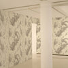 Iguana Superwide Grey on Ivory