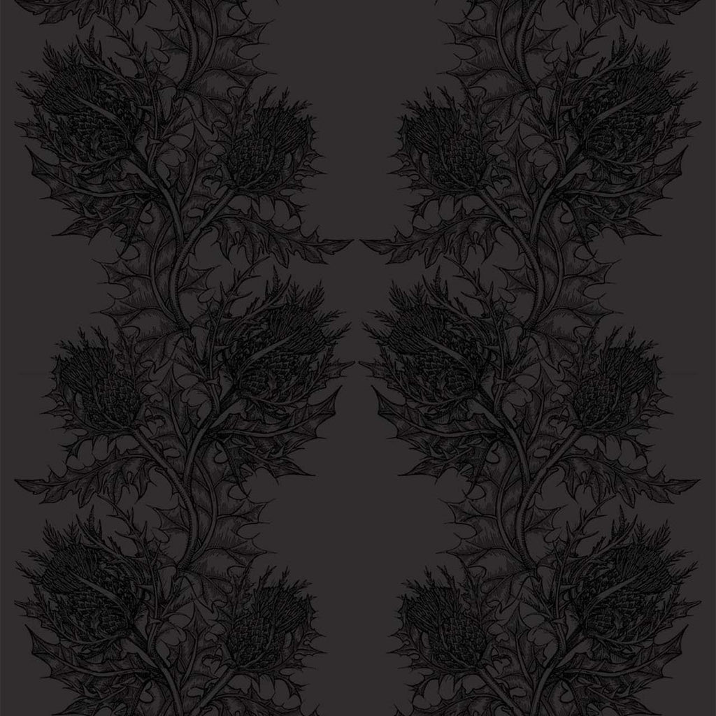Thistle Superwide Black on Black