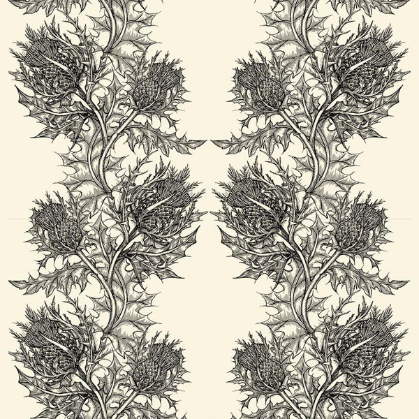 Thistle Superwide Black on Ivory | Timorous Beasties Wallcovering