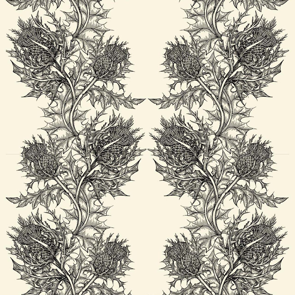 Thistle Superwide Black on Ivory