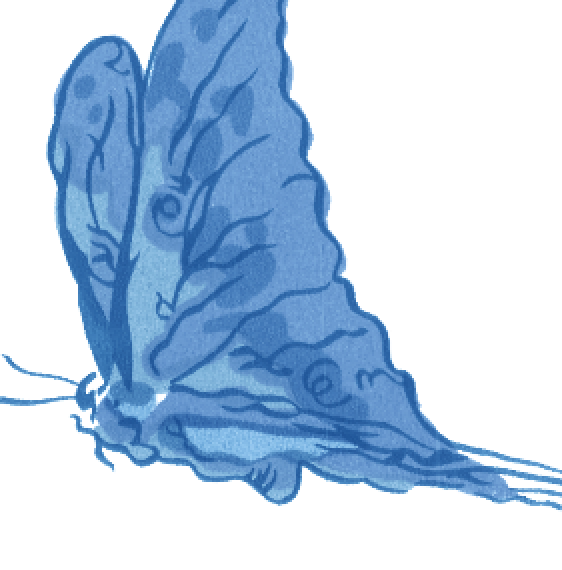 Barone's Butterfly East Mural  - Blue - Designer Wallcoverings and Fabrics