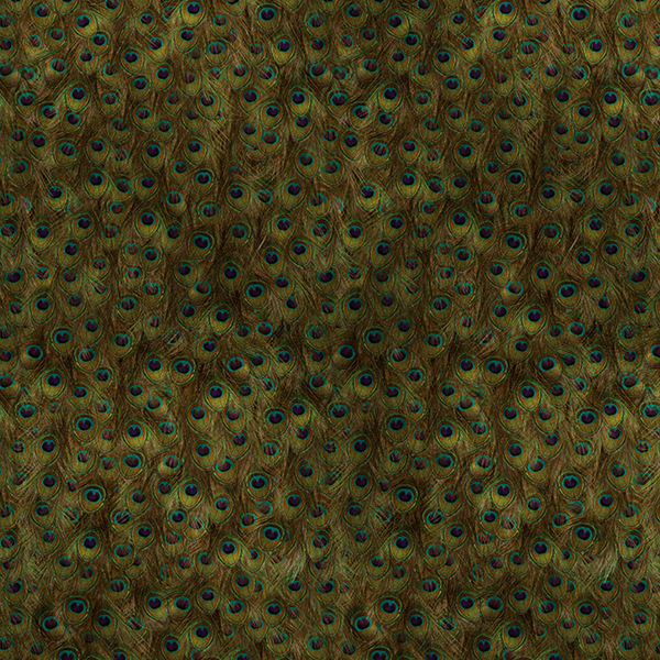PeaFowl Peacock Feathers - Silver | Coordone Europe