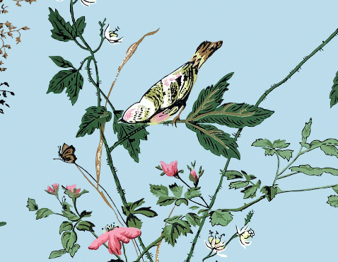 Waterville 1950's Bird Floral Wallpaper