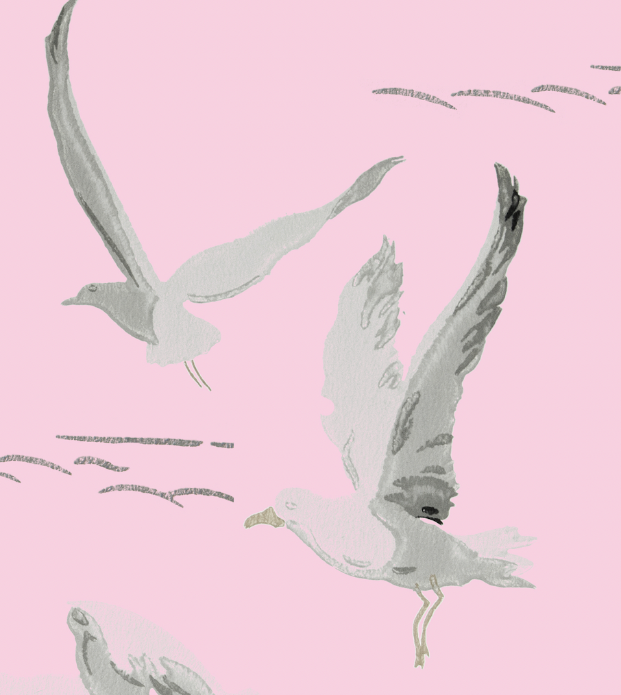 Gregorious Gulls Pink Wallpaper
