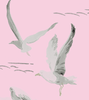 Gregorious Gulls Pink Wallpaper