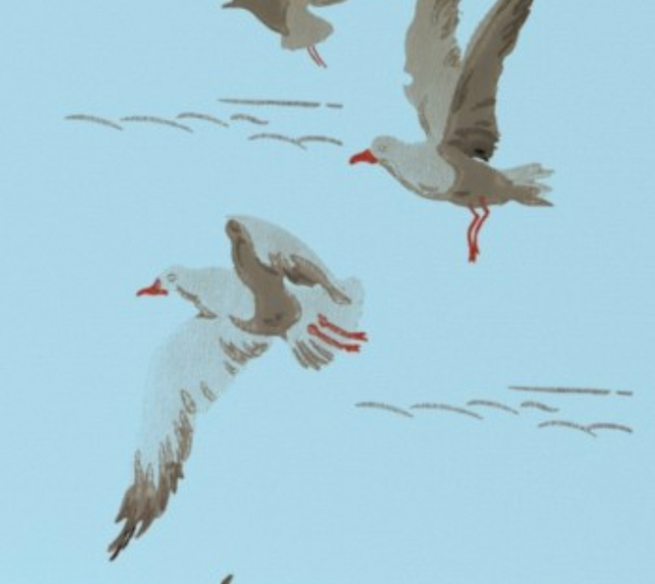 Gregorious Gulls Bue Coastal | Architectural Wallcoverings