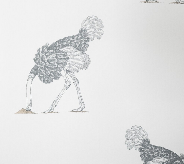 Hiding Ostrich - Large Bird