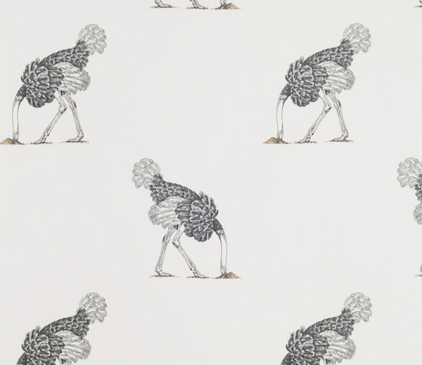 Hiding Ostrich - Small Bird