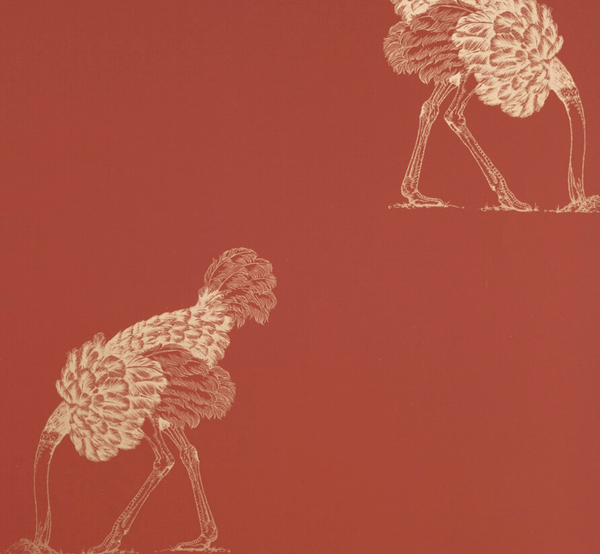 Hiding Ostrich - Large Bird Red