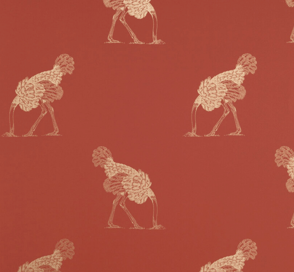 Hiding Ostrich - Small Bird Red