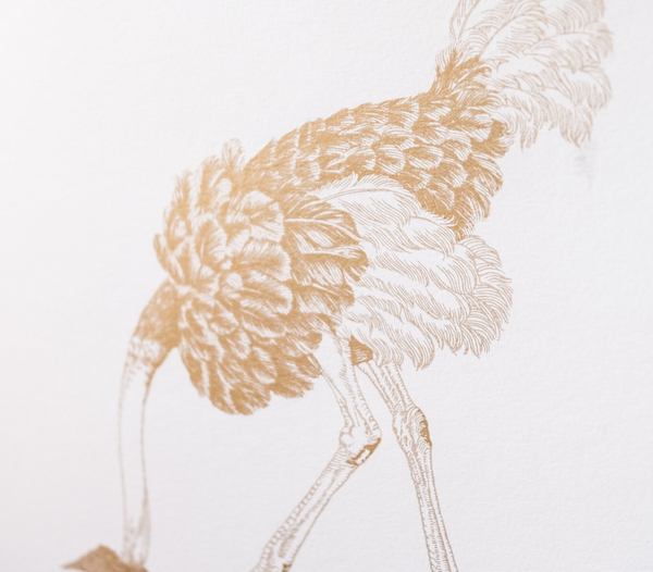 Hiding Ostrich - Large Bird Gold