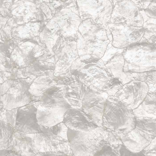 Mother of Pearl On the Half Shell - Natural Pearl | Maya Romanoff
