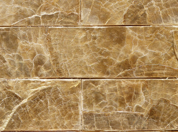 Flexi Mother of Pearl - Golden Pearl | Maya Romanoff