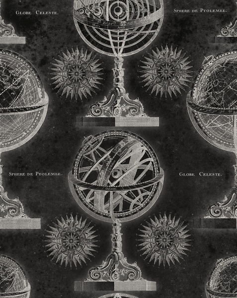 Armillary Anthracite Wallpaper | Mind The Gap